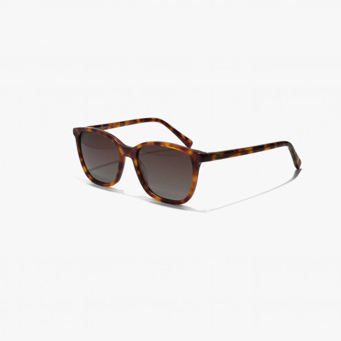 TAYLOR HABANA BROWN GRADIENT