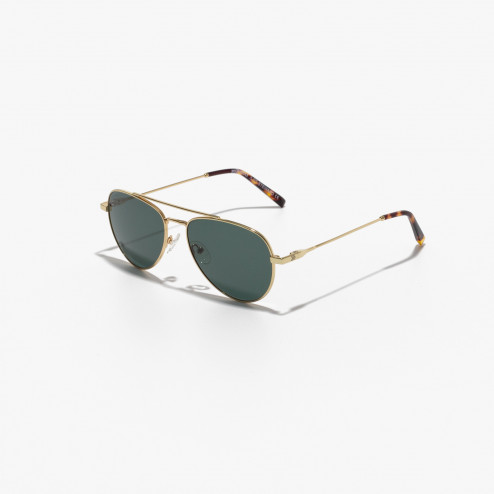 STEWARD 56 GOLD OLIVE