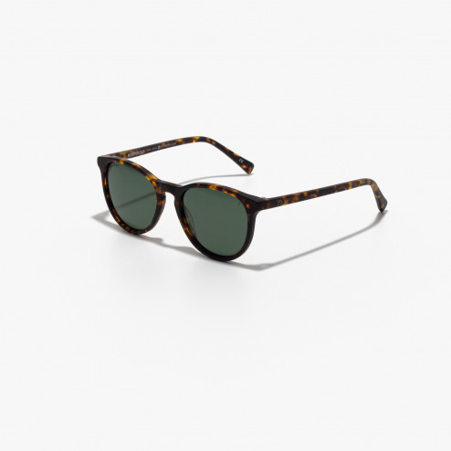 PITT HABANA OLIVE