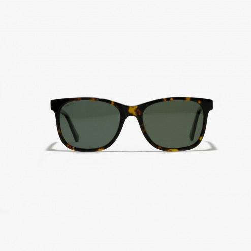 MANDELA  HABANA OLIVE