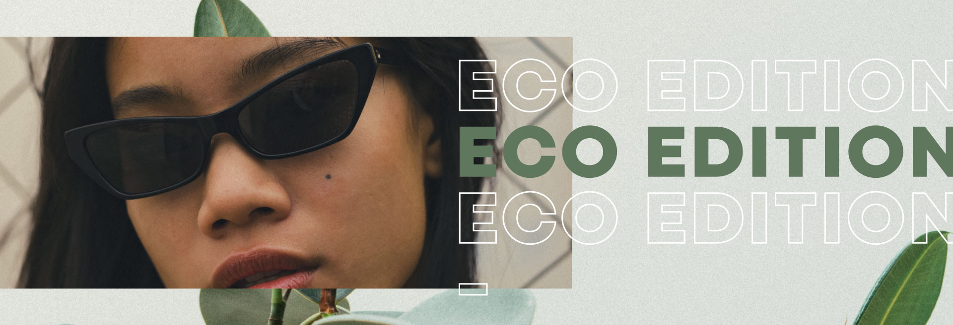 Eco edition